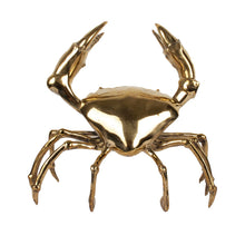 Afbeelding in Gallery-weergave laden, H19 Crab L
